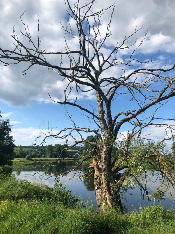 Idyllische Ferienwohnungen In Mossendorf Burglengenfeld Bagian luar foto